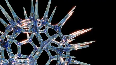 Radiolaria Stock Footage 111501438