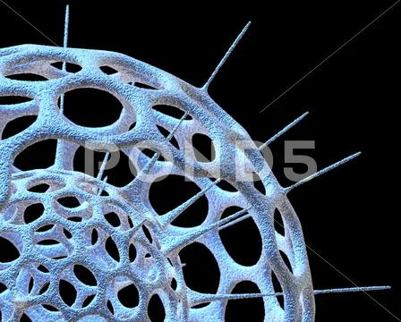 Radiolarian skeleton, artwork Stock Illustration