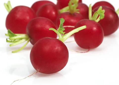 RADIS ROUGE Stock Photos