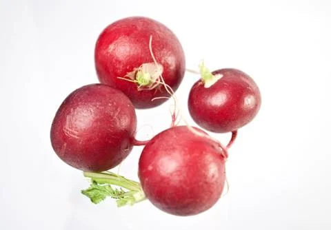 Radischen Stock Photos