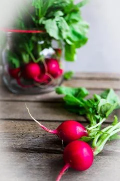 Radish-1 2 Stock Photos