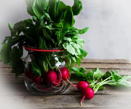 Radish-1 3 Stock Photos