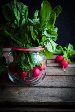 Radish-1 4 Stock Photos