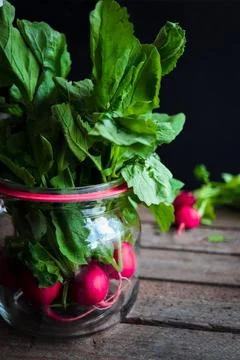 Radish-1 5 Stock Photos