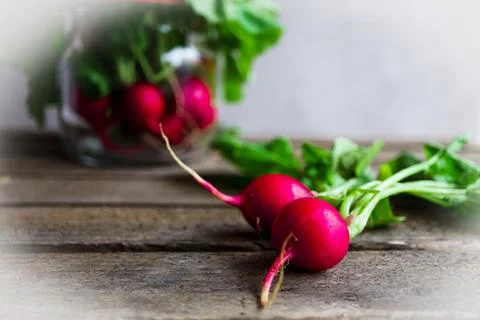 Radish-1 Stock Photos