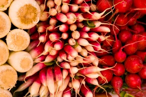 Radish background Photos