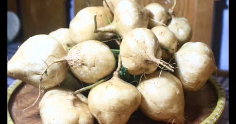 Radish on the basket Stock Footage 294179846