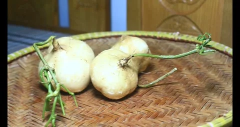 Radish on the basket Stock Footage 294179904