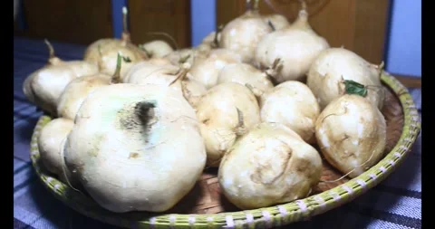 Radish on the basket Stock Footage 294180054