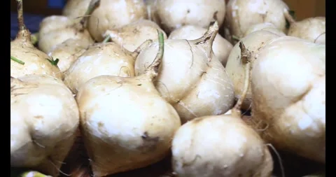 Radish on the basket Stock Footage 294180074