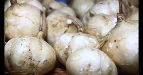 Radish on the basket Video stock 294180087