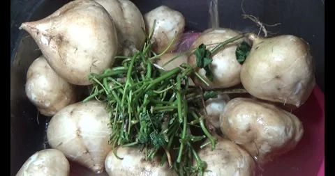 Radish on the basket Stock Footage 294180212