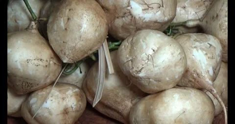 Radish on the basket Stock Footage 294180392