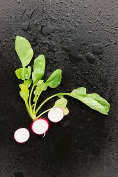 Radish on black background Stock Photos