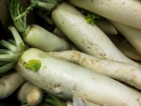 Radish Daikon Stock Photos