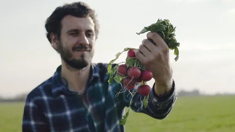 Radish on the field Stock Footage 105546814