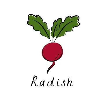 Radish flat design icon isolated on white background Stock Illustration