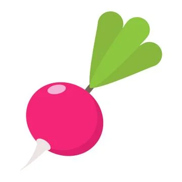 Radish flat icon, vegetable and diet イラスト素材