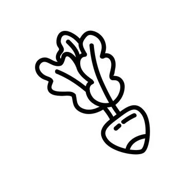 Radish flat outlined icon. Vector vegetable logo isolated on white background Stock Illustration