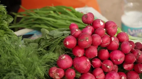 Radish Stock Footage 74522918