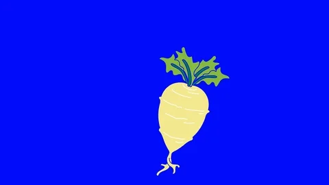 Radish hand drawn blue screen. floating loop animation Stock Footage 128638857