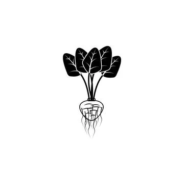 Radish icon. Elements of agricultural root crops icon. Premium quality graphic イラスト素材