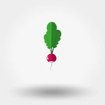Radish icon. Flat Stock Illustration