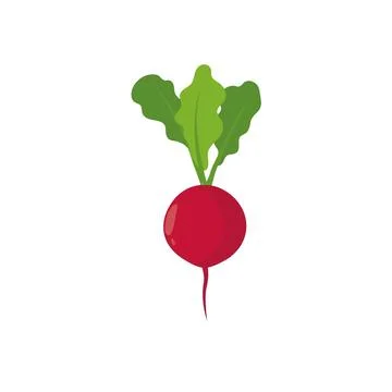 Radish icon in flat style. Isolated object, logo. Vegetable from the farm. Illustrazione stock