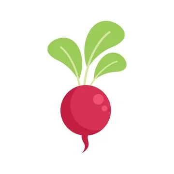 Radish icon flat vector. Eco farming Illustrazione stock