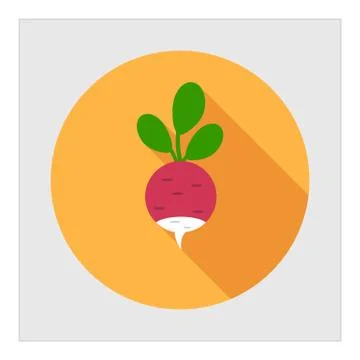 Radish icon Stock-Illustration