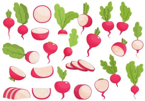 Radish icons set cartoon vector. Slice agriculture Stock Illustration