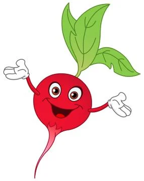Radish Stock Illustration