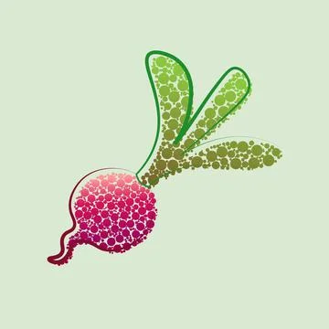 Radish . Isolated object, logo. Vegetable from the farm. Organic food. Vector Stock Illustration
