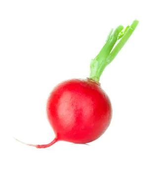 Radish isolated on white background. Stock Photos