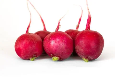 Radish isolated on white background Stock Photos