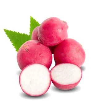 Radish isolated on white background Stock Photos