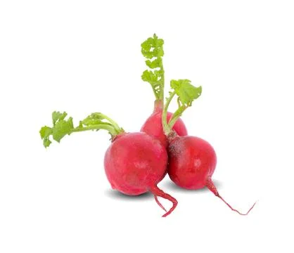 Radish isolated on white background Stock Photos