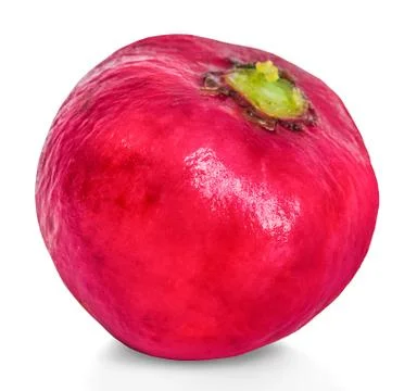 Radish isolated on white background Stock Photos