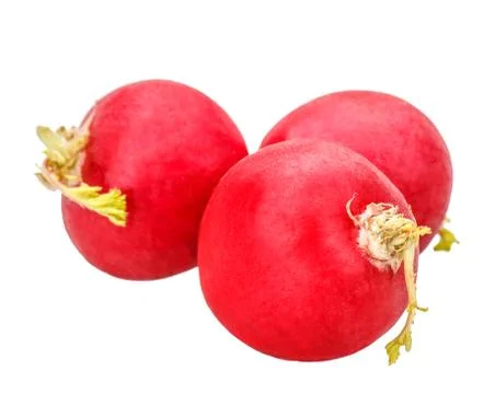 Radish isolated on white Stock Photos