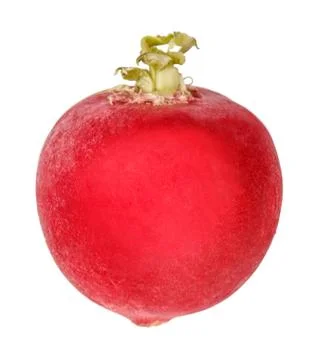 Radish isolated on white Stock Photos