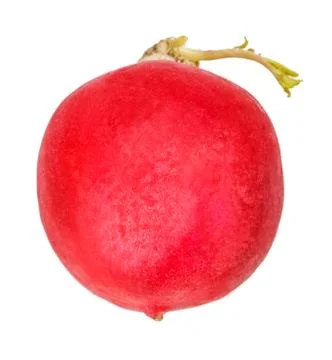 Radish isolated on white Stock Photos