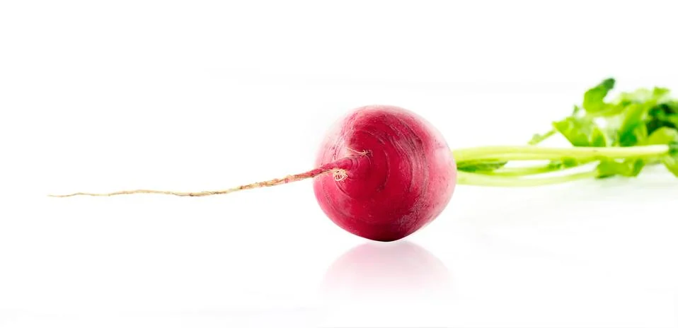 A radish with leafs Stock Photos