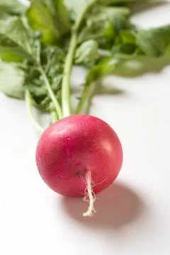 A radish with leaves Stock Photos