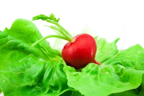 Radish lying on a green leaf isolated on white Stock Photos