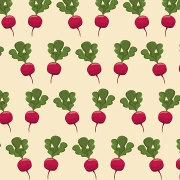 Radish nutrition seamless pattern image Stock Illustration