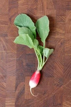 Radish Stock Photos