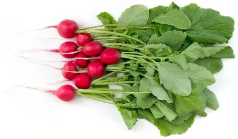 Radish Stock Photos