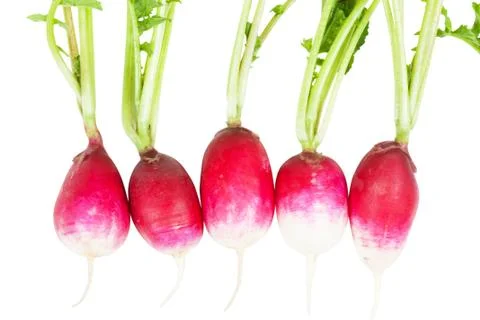Radish Stock Photos