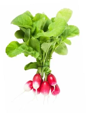 Radish Stock Photos