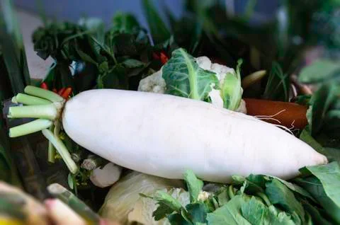 Radish Stock Photos